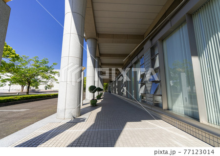 新緑の宮崎県立図書館_宮崎県宮崎市 新緑の宮崎県立図書館_宮崎県宮崎市 77123014