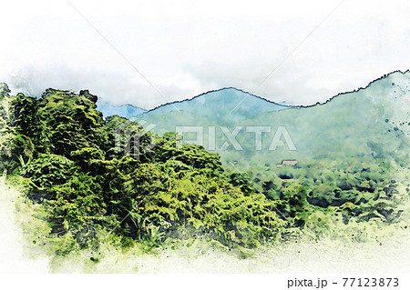Abstract colorful shape on tree and field landscape in Thailand on watercolor illustration painting background. 77123873