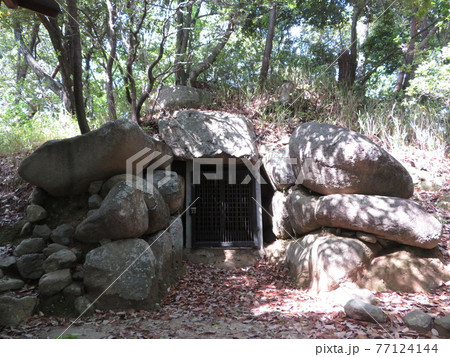 大織冠神社(将軍塚古墳)  大織冠神社(将軍塚古墳)  77124144