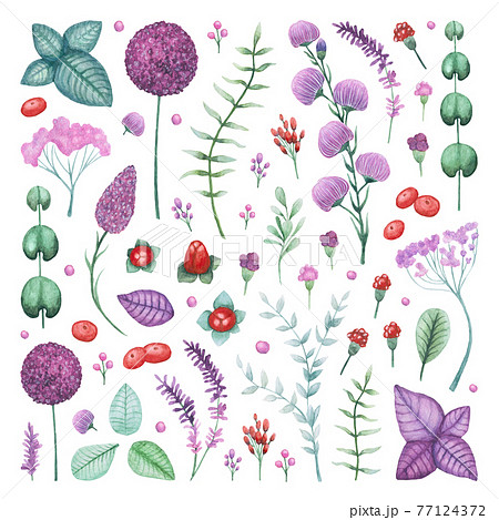 Watercolor Garden Flowers and Herbs Elements Set Watercolor Garden Flowers and Herbs Elements Set 77124372