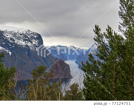 A beautiful view from the famous fjords of Norway 77124751