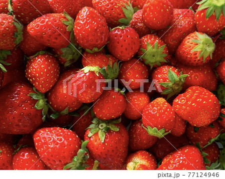 イチゴの背景素材1 77124946