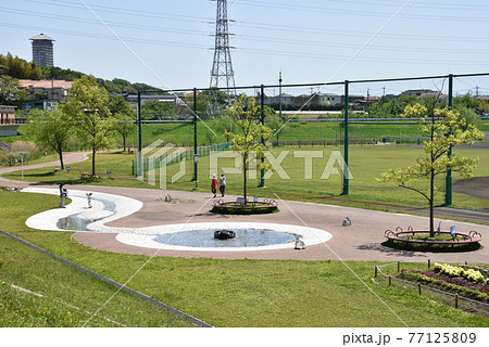 神奈川県横浜市　神奈川県立境川遊水地公園（俣野遊水地）の噴水広場と野球場 77125809