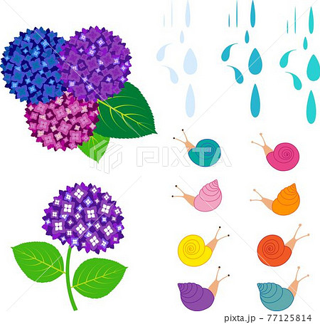 紫陽花の花とカタツムリと雨粒のイラスト素材セットのイラスト素材