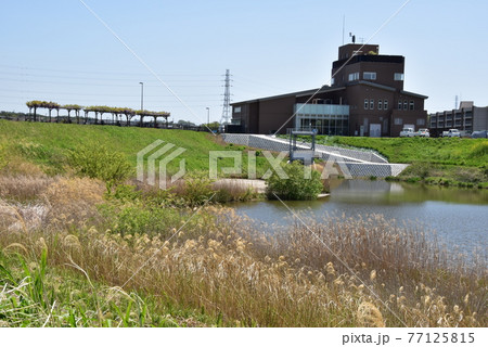 神奈川県横浜市 神奈川県立境川遊水地公園(俣野遊水地)の境川遊水地情報センターとビオトープ 神奈川県横浜市 神奈川県立境川遊水地公園(俣野遊水地)の境川遊水地情報センターとビオトープ 77125815