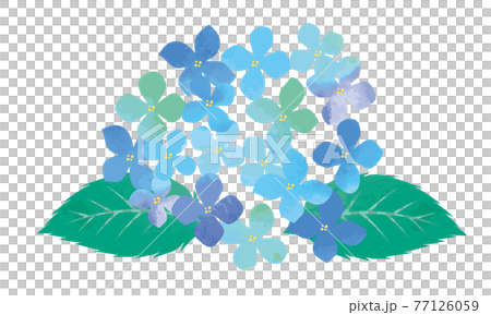 水彩画 水彩タッチ初夏梅雨の植物花 紫陽花のイラスト 水彩画 水彩タッチ初夏梅雨の植物花 紫陽花のイラスト 77126059