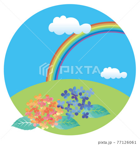 虹と自然と紫陽花 初夏梅雨の植物花 紫陽花のイラスト 自然風景バナーイラストのイラスト素材
