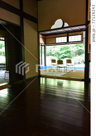 丈山苑 青もみじ 緑色の世界 丈山苑 青もみじ 緑色の世界 77126243