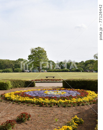 栃木県宇都宮市　みずほの自然の森公園 77126442