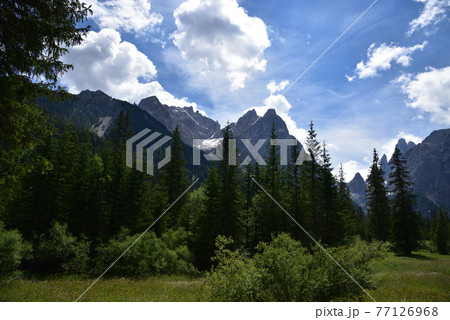 Summer in the valley 77126968