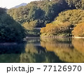 ダムの紅葉 77126970