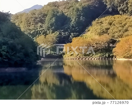 ダムの紅葉 ダムの紅葉 77126970
