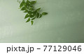 スマイラックス　薄緑背景　 77129046