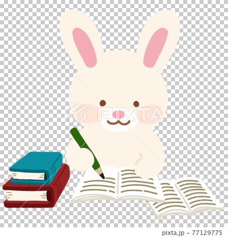 本を開いて勉強する可愛くてシンプルな白ウサギのイラスト　主線なし 77129775