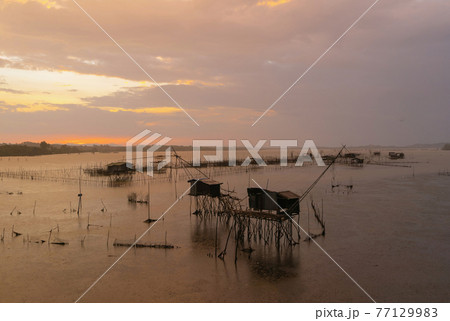 Local fishing trap net in canel with fisherman home, lake or river at sunset. Nature landscape fisheries and fishing tools lifestyle at Pak Pha, Phattalung, Thailand. Aquaculture farming. Local fishing trap net in canel with fisherman home, lake or river at sunset. Nature landscape fisheries and fishing tools lifestyle at Pak Pha, Phattalung, Thailand. Aquaculture farming. 77129983