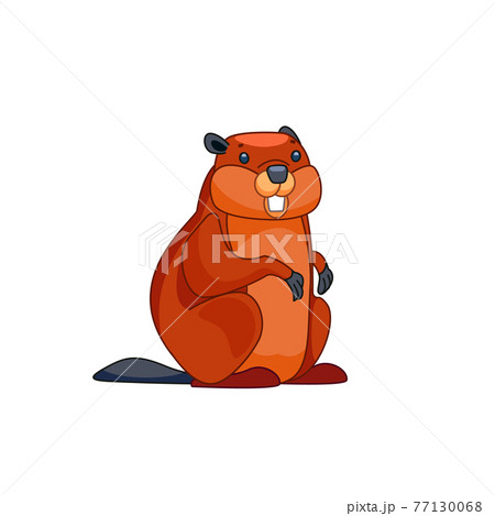 Beaver Walks Over And Looks Around In Surprise のイラスト素材