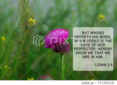 Bible quotes on blurred nature background. Card with text sign for believers. Inspirational verse thoughts for praying. 77130116