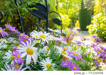 ワイルドフラワーガーデン ブルーボネット〈愛知県名古屋市〉 77130406