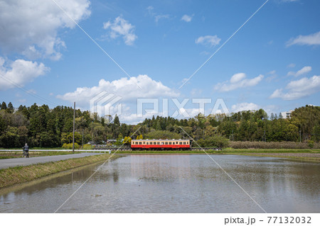 田んぼの水入れの頃 小湊鉄道 田んぼの水入れの頃 小湊鉄道 77132032