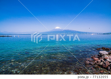 (静岡県)伊豆の海岸から見る、駿河湾越しの富士山 (静岡県)伊豆の海岸から見る、駿河湾越しの富士山 77132055