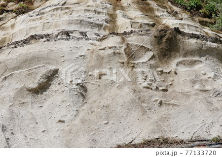 枯野公園 伊豆半島ジオパーク 地質 露頭 西伊豆 枯野公園 伊豆半島ジオパーク 地質 露頭 西伊豆 77133720