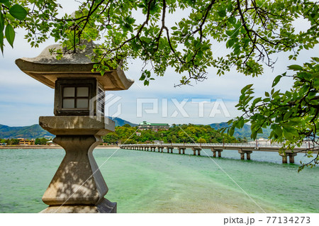 蒲郡のシンボル、竹島〈愛知県蒲郡市〉 77134273