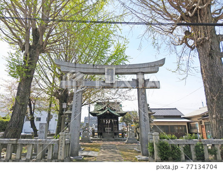 福岡県直方市の直日神社鳥居と拝殿 77134704