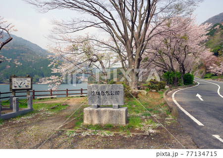 山口県下関市の市民憩いの場深坂自然の森 山口県下関市の市民憩いの場深坂自然の森 77134715