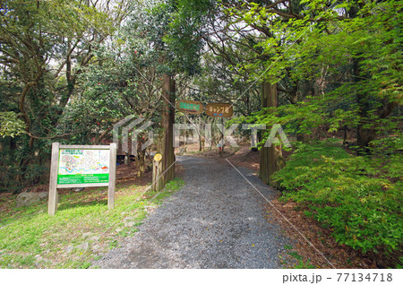 山口県下関市の市民憩いの場深坂自然の森 山口県下関市の市民憩いの場深坂自然の森 77134718