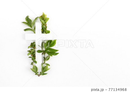 The Christianity cross of green leaves. Baptism, Easter, church holiday background The Christianity cross of green leaves. Baptism, Easter, church holiday background 77134968
