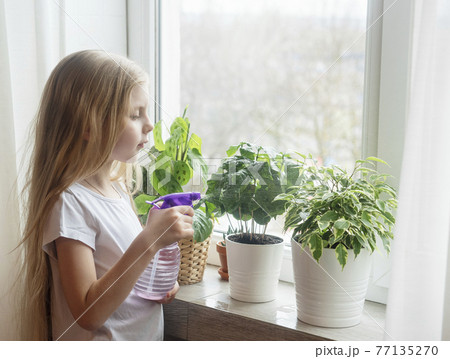 Little girl watering houseplants Little girl watering houseplants 77135270