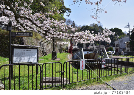 京都・蹴上インクラインと桜 77135484