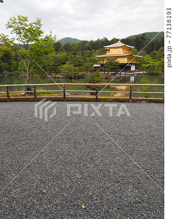 春の金閣寺 こけらぶき屋根のふき替え 春の金閣寺 こけらぶき屋根のふき替え 77136193