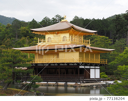 春の金閣寺 こけらぶき屋根のふき替え 春の金閣寺 こけらぶき屋根のふき替え 77136204
