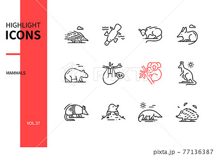 Different mammals - modern line design style icons set Different mammals - modern line design style icons set 77136387
