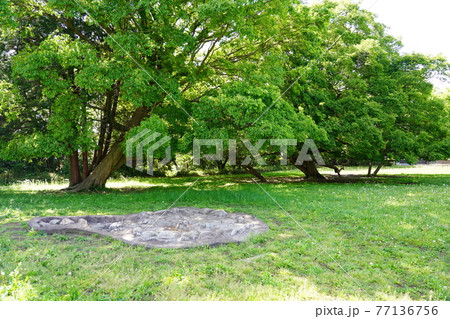 史跡勝坂遺跡公園 敷石住居 史跡勝坂遺跡公園 敷石住居 77136756