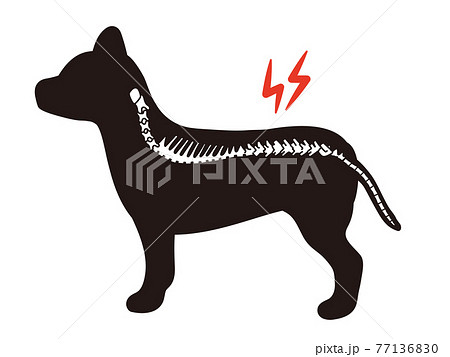 犬のシルエット 椎間板ヘルニアのイラスト素材
