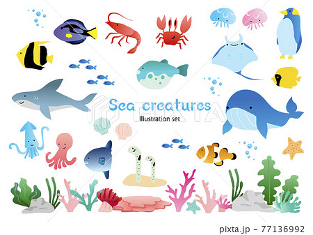 海の生き物セットのイラスト素材