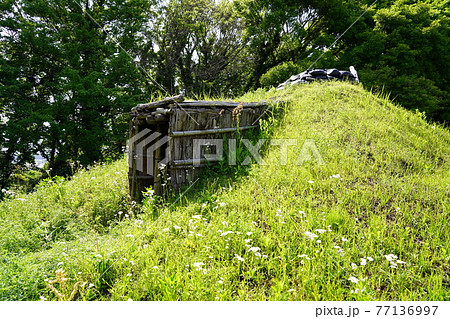史跡勝坂遺跡公園 竪穴住居(3号住居) 史跡勝坂遺跡公園 竪穴住居(3号住居) 77136997