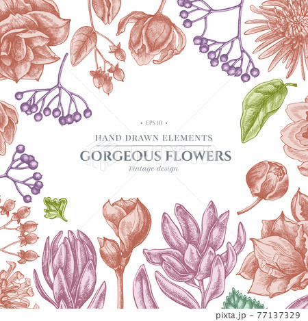 Floral Design With Pastel Viburnum Hypericum のイラスト素材