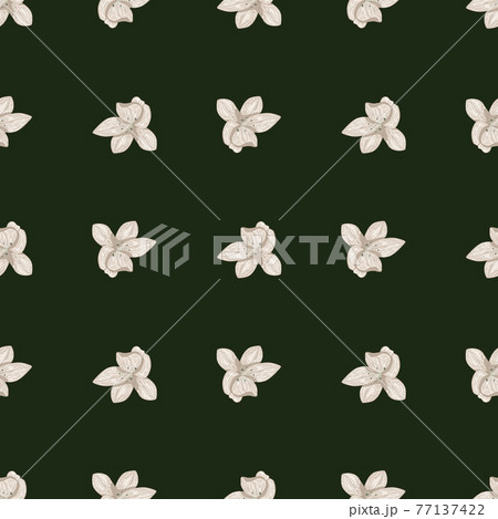Contrast seamless pattern with white orchid flower ornament. Green background. 77137422