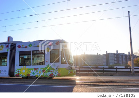 《広島市》朝日を浴びながら走行する路面電車 77138105