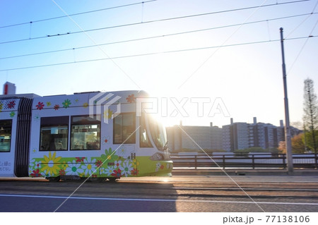 《広島市》朝日を浴びながら走行する路面電車 77138106