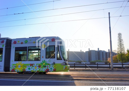 《広島市》朝日を浴びながら走行する路面電車 77138107