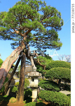 西多摩郡瑞穂町箱根ヶ崎 圓福寺 西多摩郡瑞穂町箱根ヶ崎 圓福寺 77138735