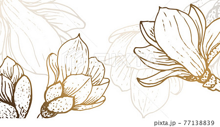 Luxurious wallpaper design with golden magnolia and natural background. Magnolia line art design for wall arts, fabric, prints and background texture, vector illustration. 77138839