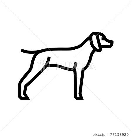 german shrothaired pointer dog line icon vector illustration german shrothaired pointer dog line icon vector illustration 77138929
