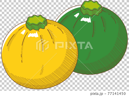 緑と黄色の丸型ズッキーニのイラスト素材