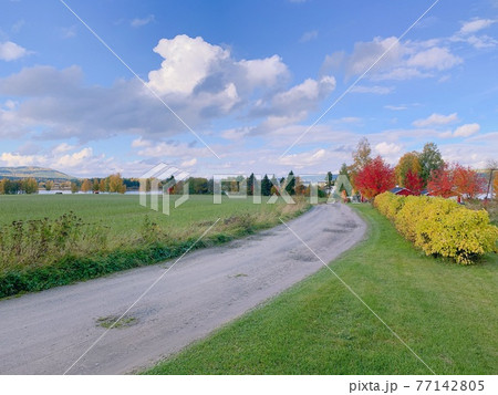 スウェーデンの田舎の風景 77142805