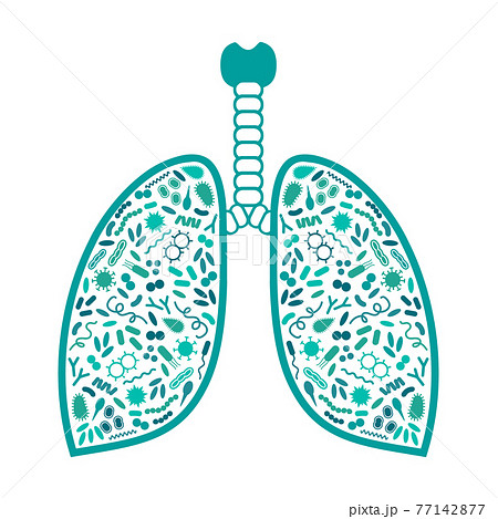 bacteria and virus in respiratory system 77142877